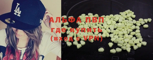 гашик Вяземский