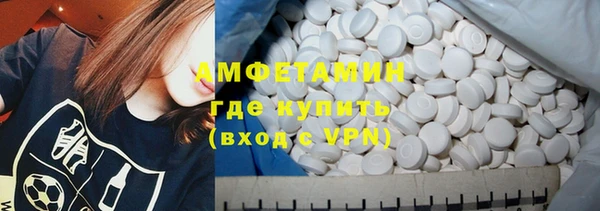 гашик Вяземский