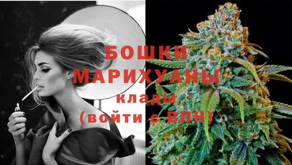 гашик Вяземский