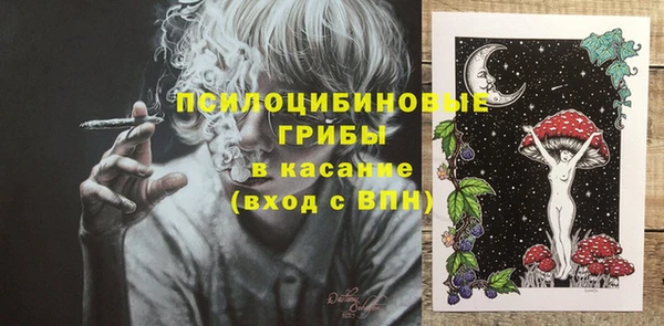 гашик Вяземский