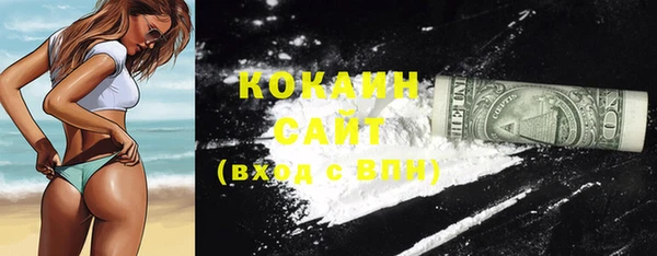 гашик Вяземский