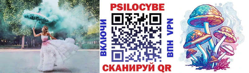 Псилоцибиновые грибы Magic Shrooms  площадка клад  Гай  закладка 
