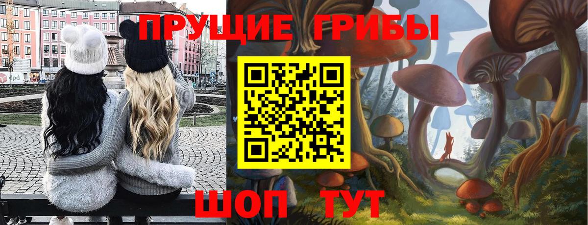 где купить   Галлюциногенные грибы GOLDEN TEACHER  Вход с VPN  Гай 